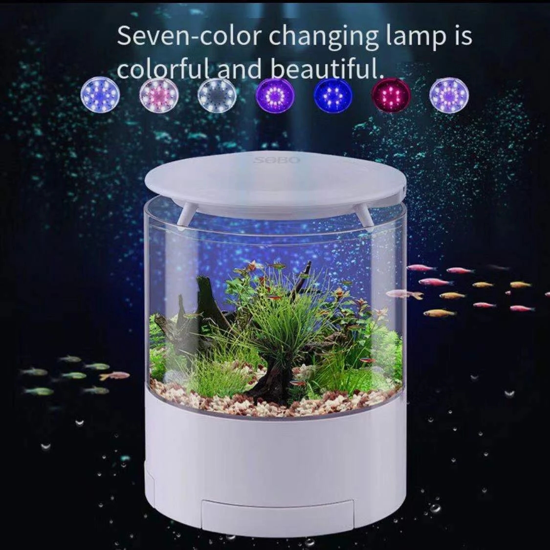 Aquarium Fish For Sale - Round colorful lights desktop fish tank