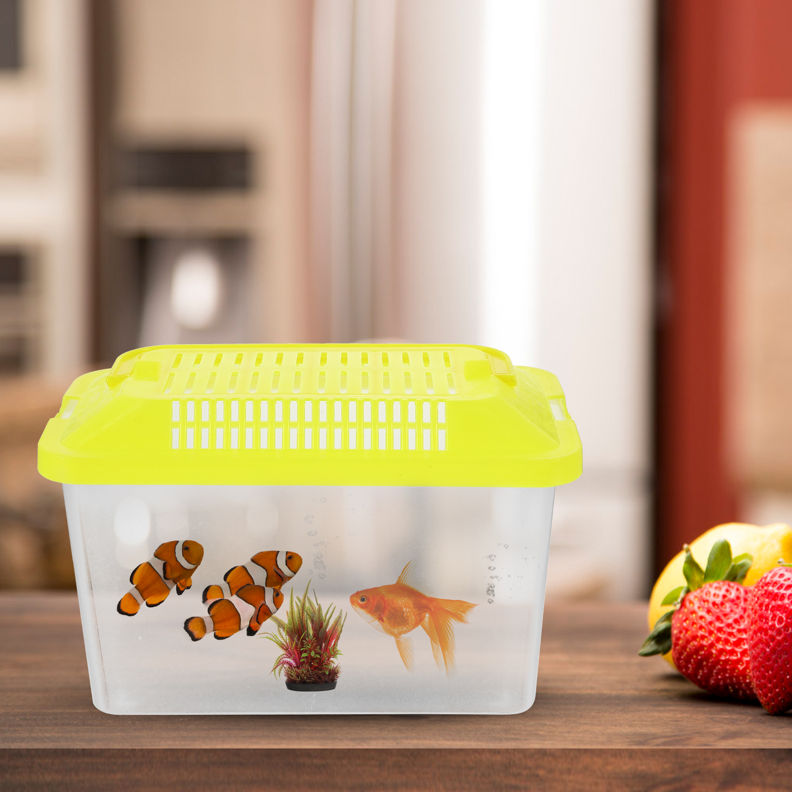 Plastic Turtle Fish Tank Aquar - Aquarium Fish For Sale ulasan dan harga