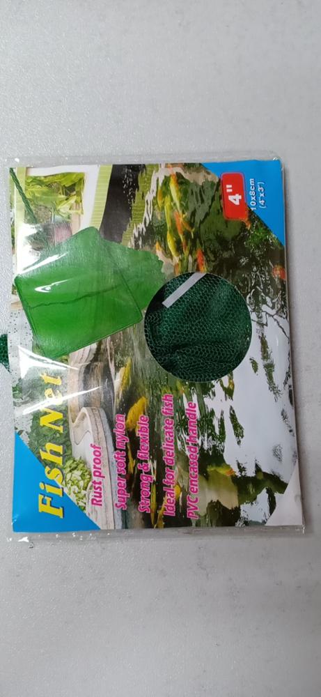 Export Quality Hotsale Aquariu - Aquarium Fish Exporter ulasan dan harga