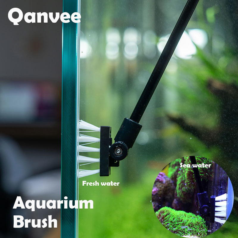 Fishing Cleaning Brush Plant T - Algae Scraper Blade ulasan dan harga