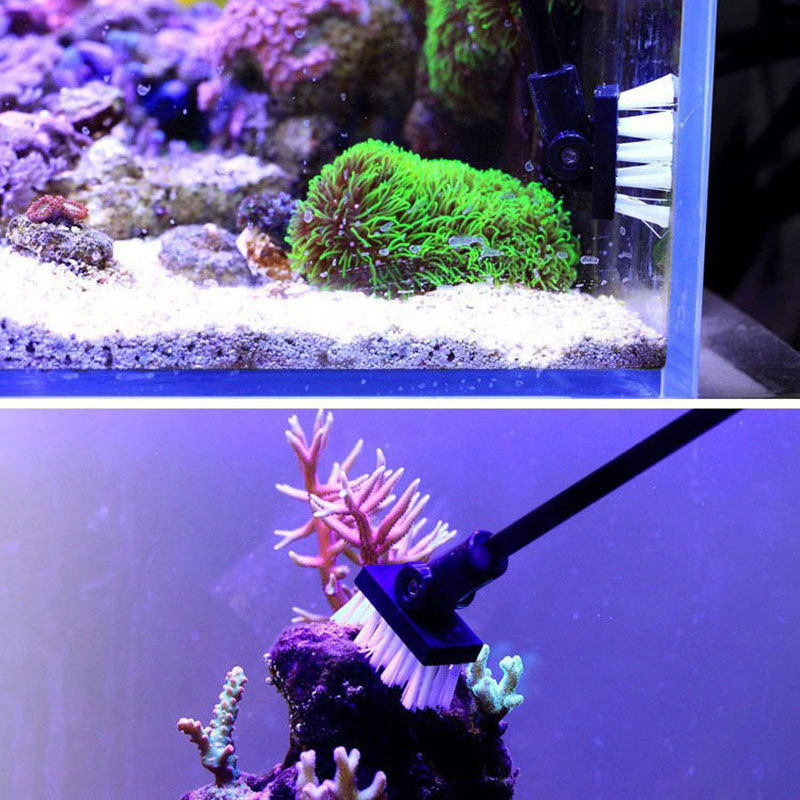 Fishing Cleaning Brush Plant T - Algae Scraper Blade ulasan dan harga