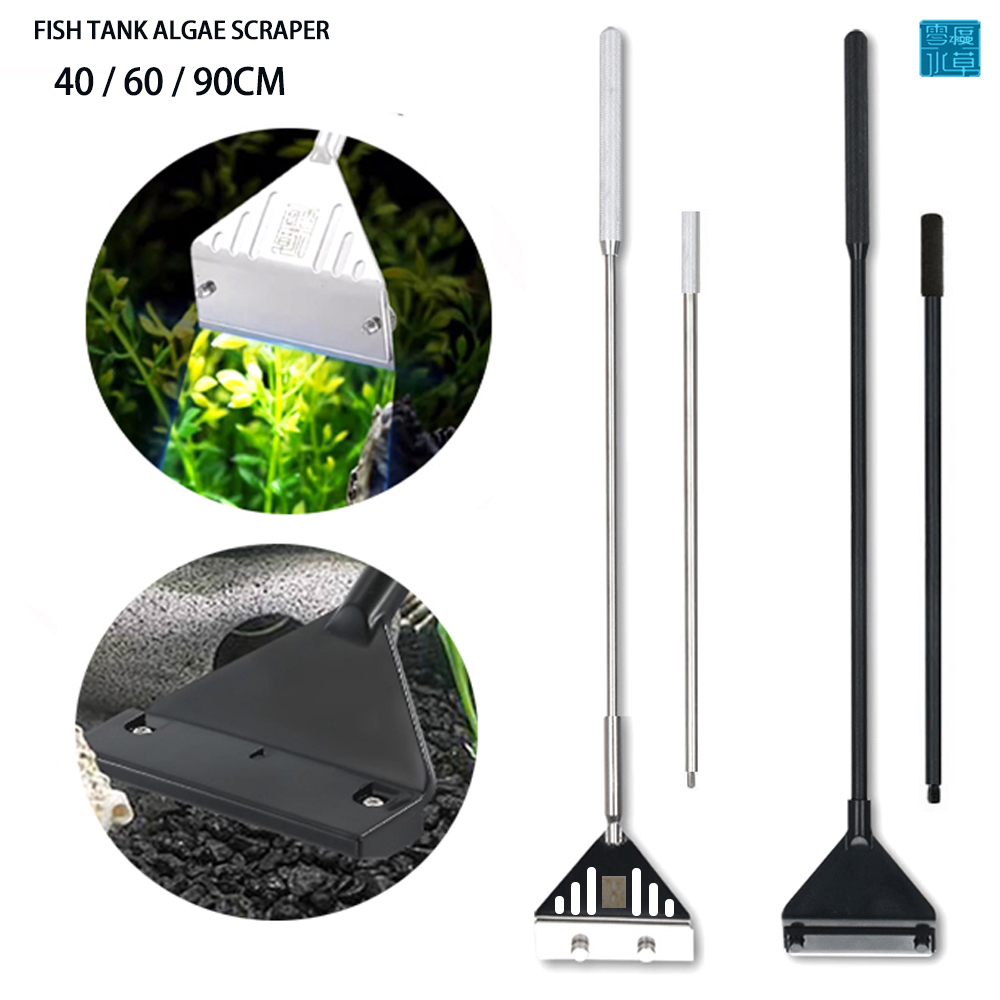 Aquarium stainless steel fish  - Algae Scraper Blade ulasan dan harga