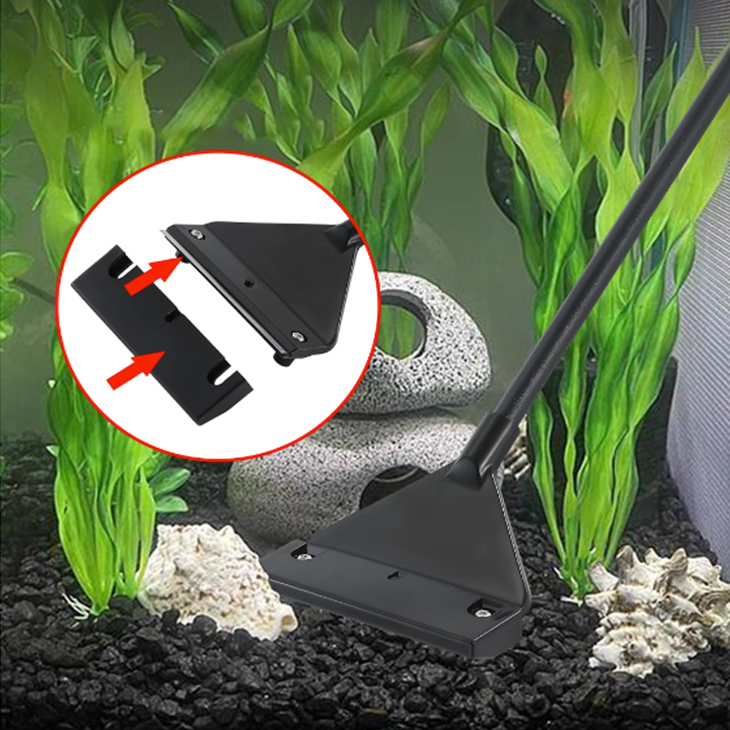 Aquarium stainless steel fish  - Algae Scraper Blade ulasan dan harga