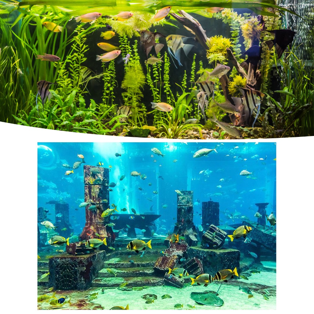 Background Sticker Undersea Th - Aquarium Fish Poster ulasan dan harga