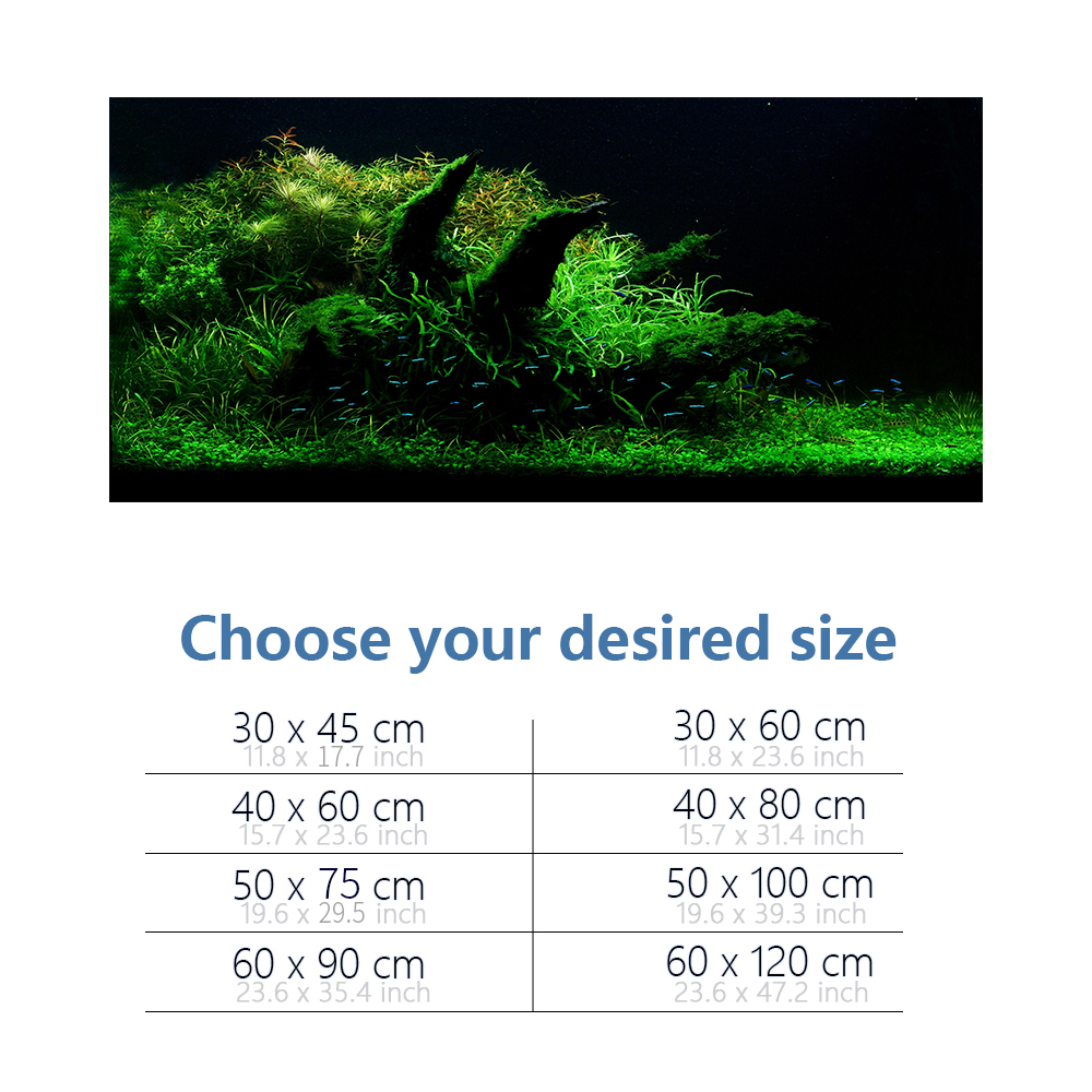 Aquarium Background Fish Tank  - Aquarium Fish Poster ulasan dan harga