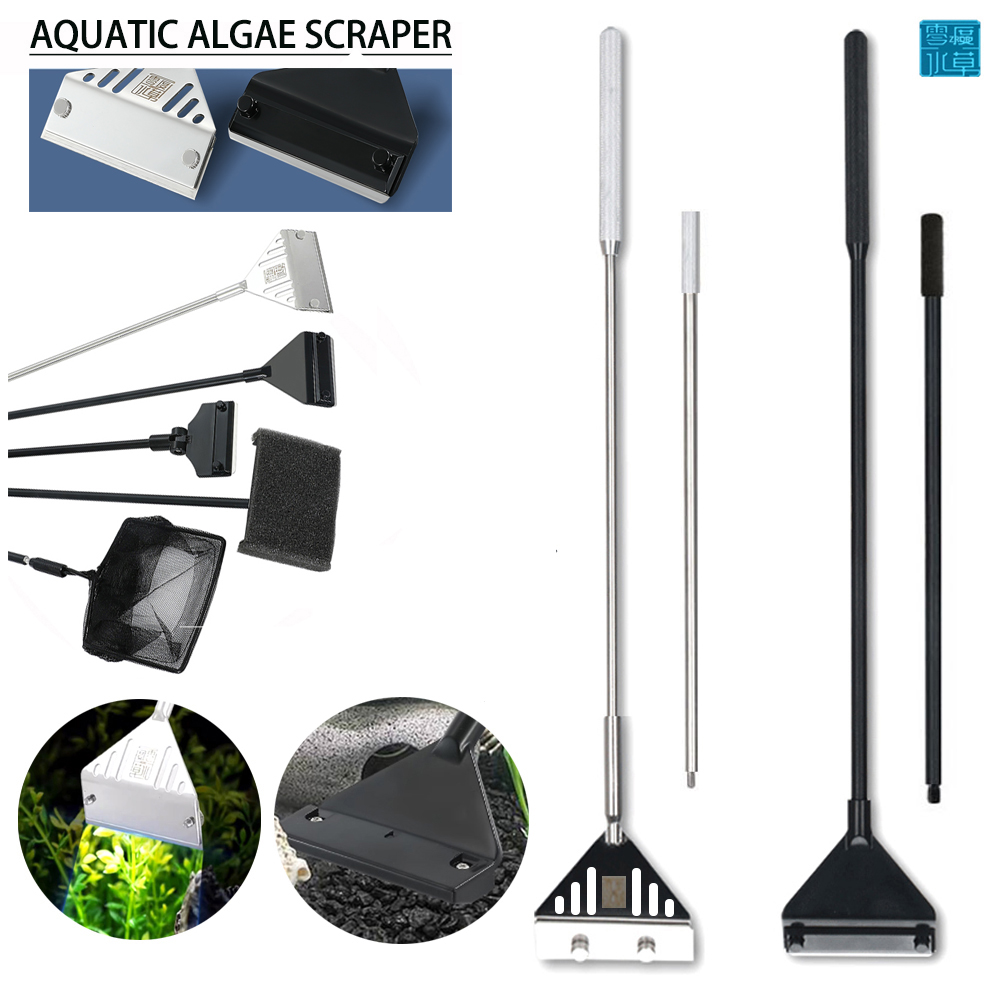 Stainless Steel Aquarium Fish  - Algae Scraper Blade ulasan dan harga
