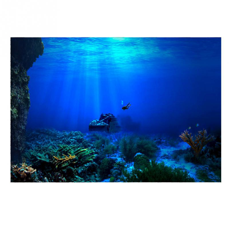 1Pcs Fish Tank Background Deco - Aquarium Fish Poster ulasan dan harga