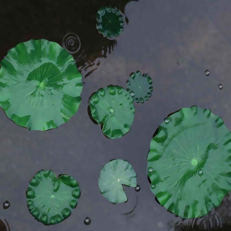 2026 Artificial Water Lily Lot - Aquarium Fish Types ulasan dan harga