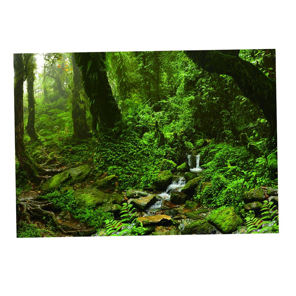 Aquarium Backdrop Poster Vivid - Aquarium Fish Poster ulasan dan harga