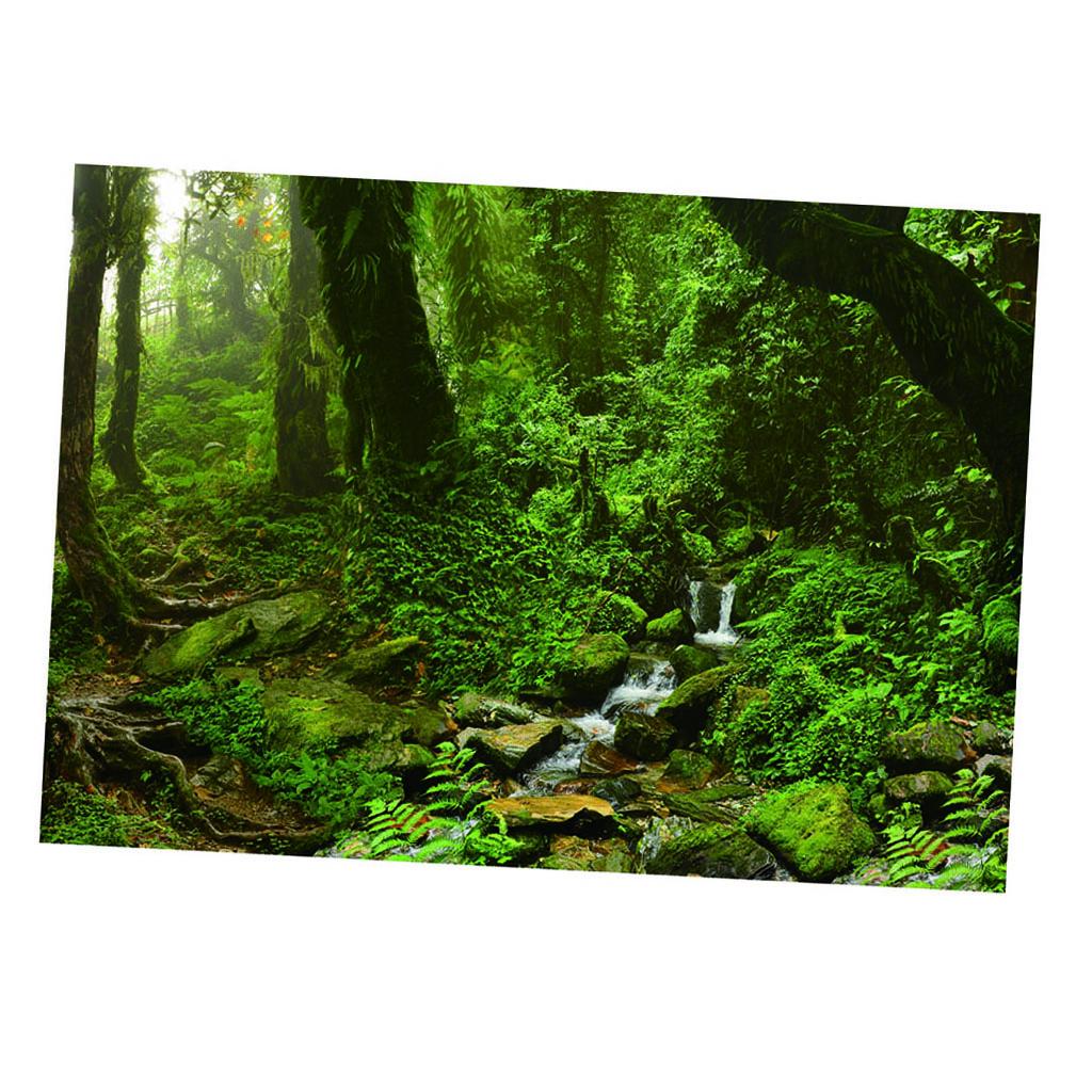 Aquarium Backdrop Poster Vivid - Aquarium Fish Poster ulasan dan harga