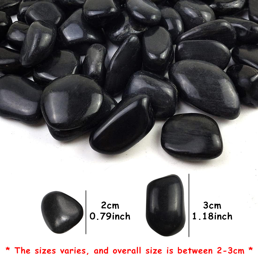 200g Black High Polished Natur - Aquarium Fish Types ulasan dan harga