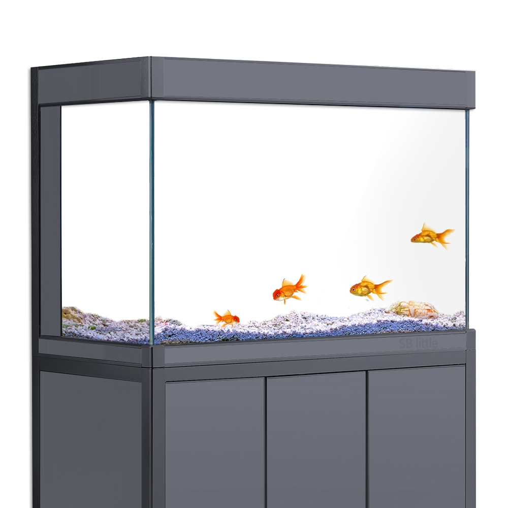 Aquarium Background Static Cli - Aquarium Fish Poster ulasan dan harga