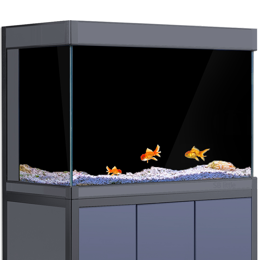 Aquarium Background Static Cli - Aquarium Fish Poster ulasan dan harga