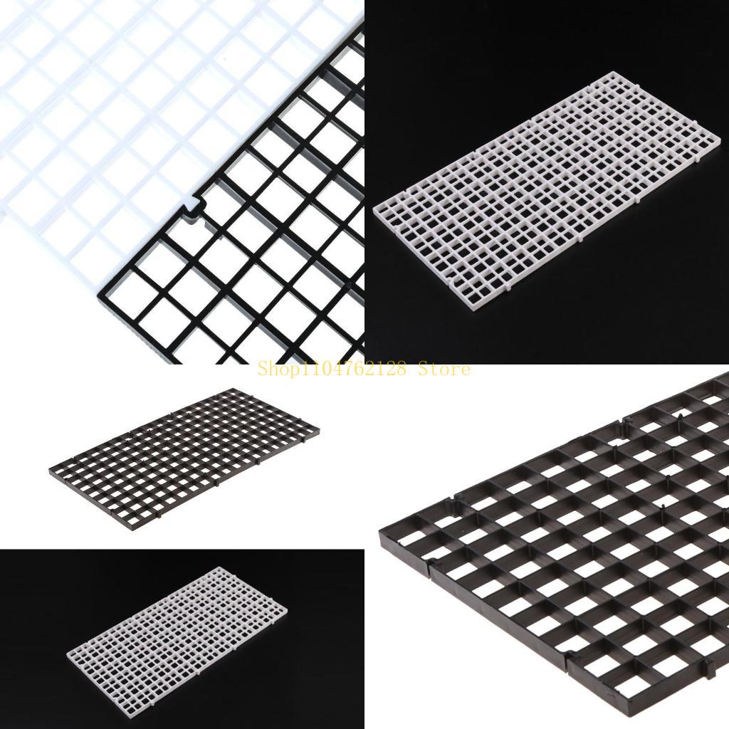 Aquarium Bottom Plate Fish for - Aquarium Fish For Sale ulasan dan harga