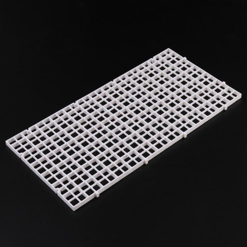 Aquarium Bottom Plate Fish for - Aquarium Fish For Sale ulasan dan harga
