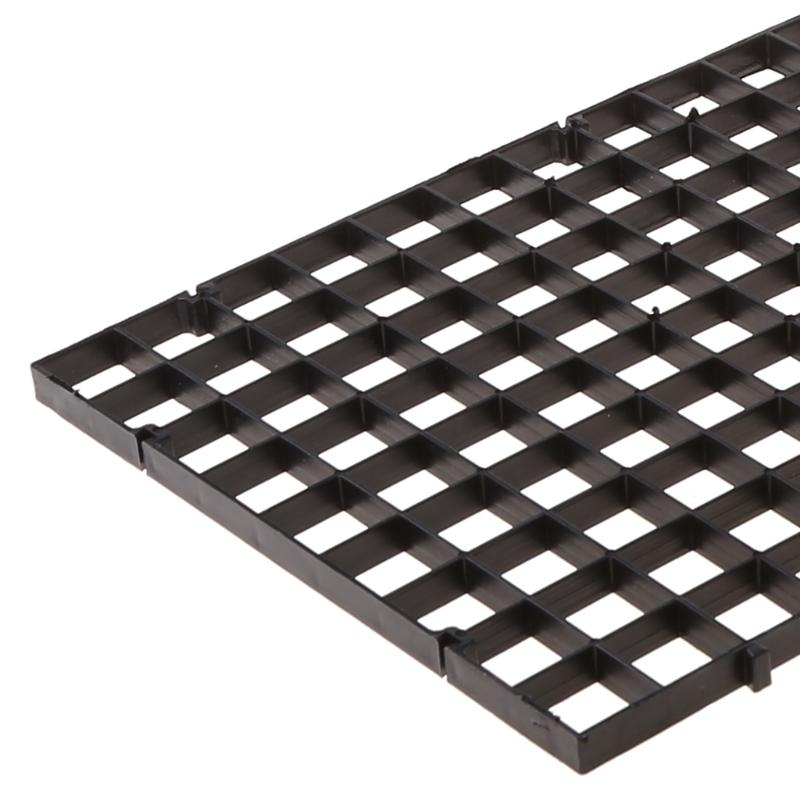 Aquarium Bottom Plate Fish for - Aquarium Fish For Sale ulasan dan harga