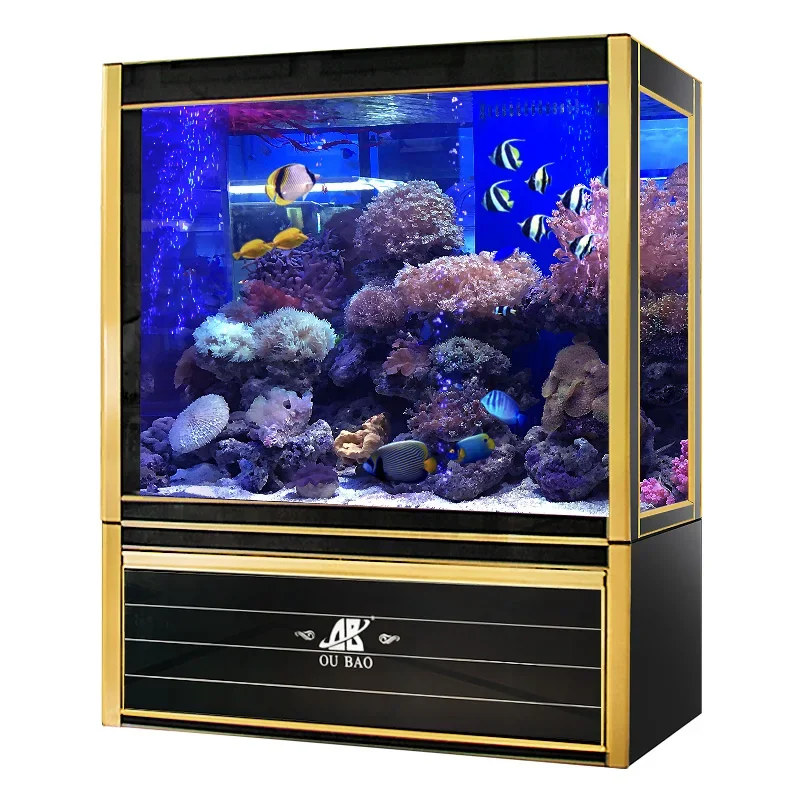 #s Aquariums & Accessories Bes - Aquarium Fish For Sale ulasan dan harga