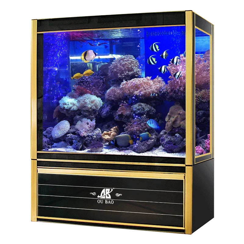 #s Aquariums & Accessories Bes - Aquarium Fish For Sale ulasan dan harga