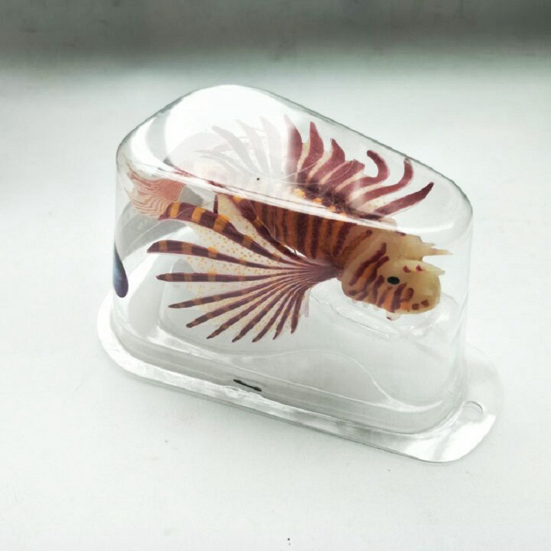 Novel and Funny Toy Fish Tank  - Aquarium Fish Exporter ulasan dan harga