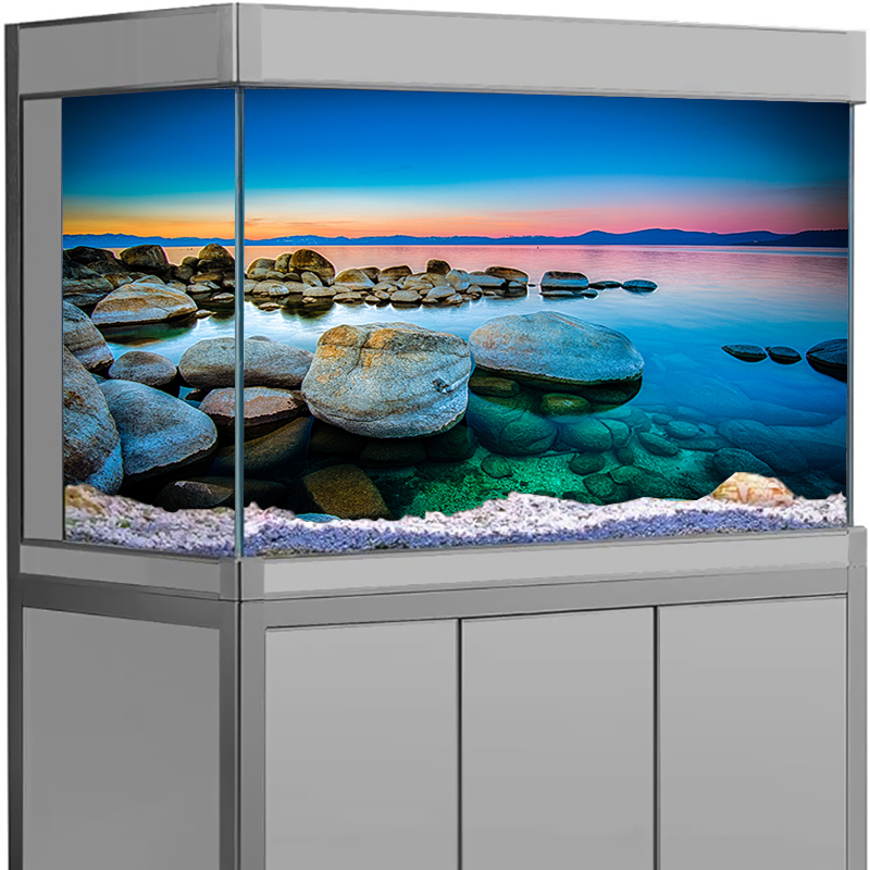 Aquarium Background Sticker St - Aquarium Fish Poster ulasan dan harga