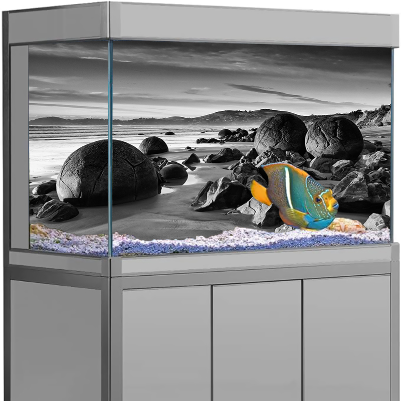 Aquarium Background Sticker St - Aquarium Fish Poster ulasan dan harga