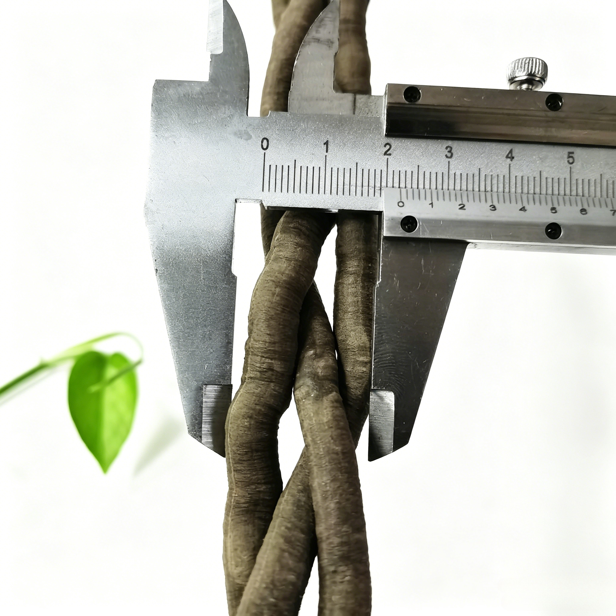100cm Artificial Vine Fake Pla - Aquarium Fish Types ulasan dan harga