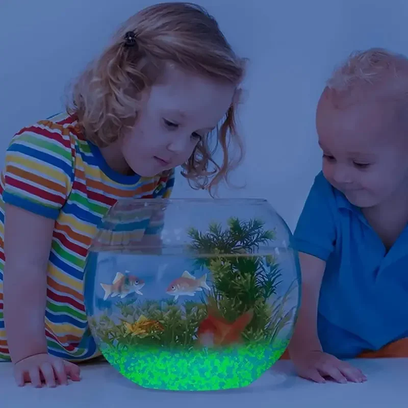 1000pcs 3-5mm Luminous Sand Gl - Aquarium Fish Types ulasan dan harga