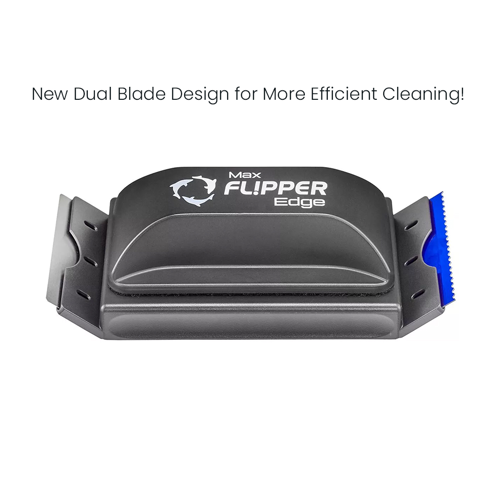 Flipper Edge Standard Max Magn - Algae Scraper Blade ulasan dan harga