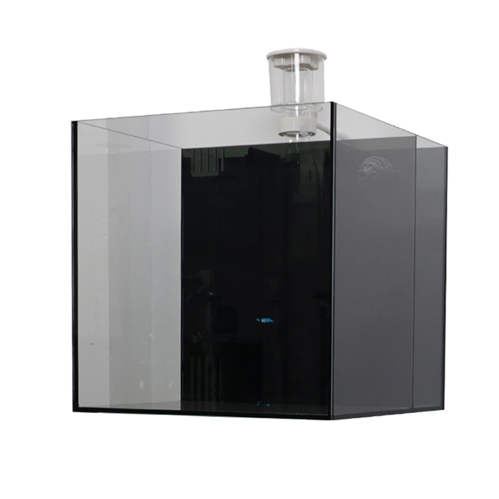 Indoor Glass Frameless Fish Aq - Aquarium Fish For Sale ulasan dan harga