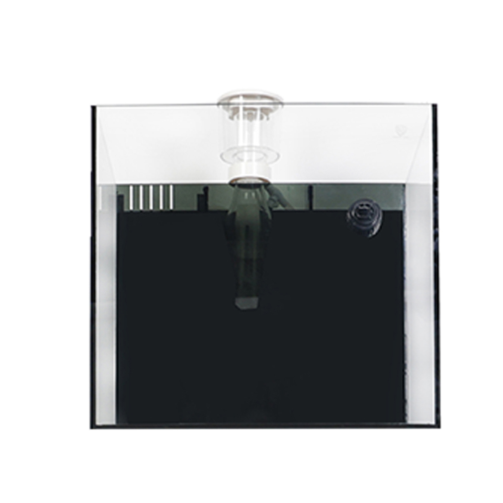 Indoor Glass Frameless Fish Aq - Aquarium Fish For Sale ulasan dan harga