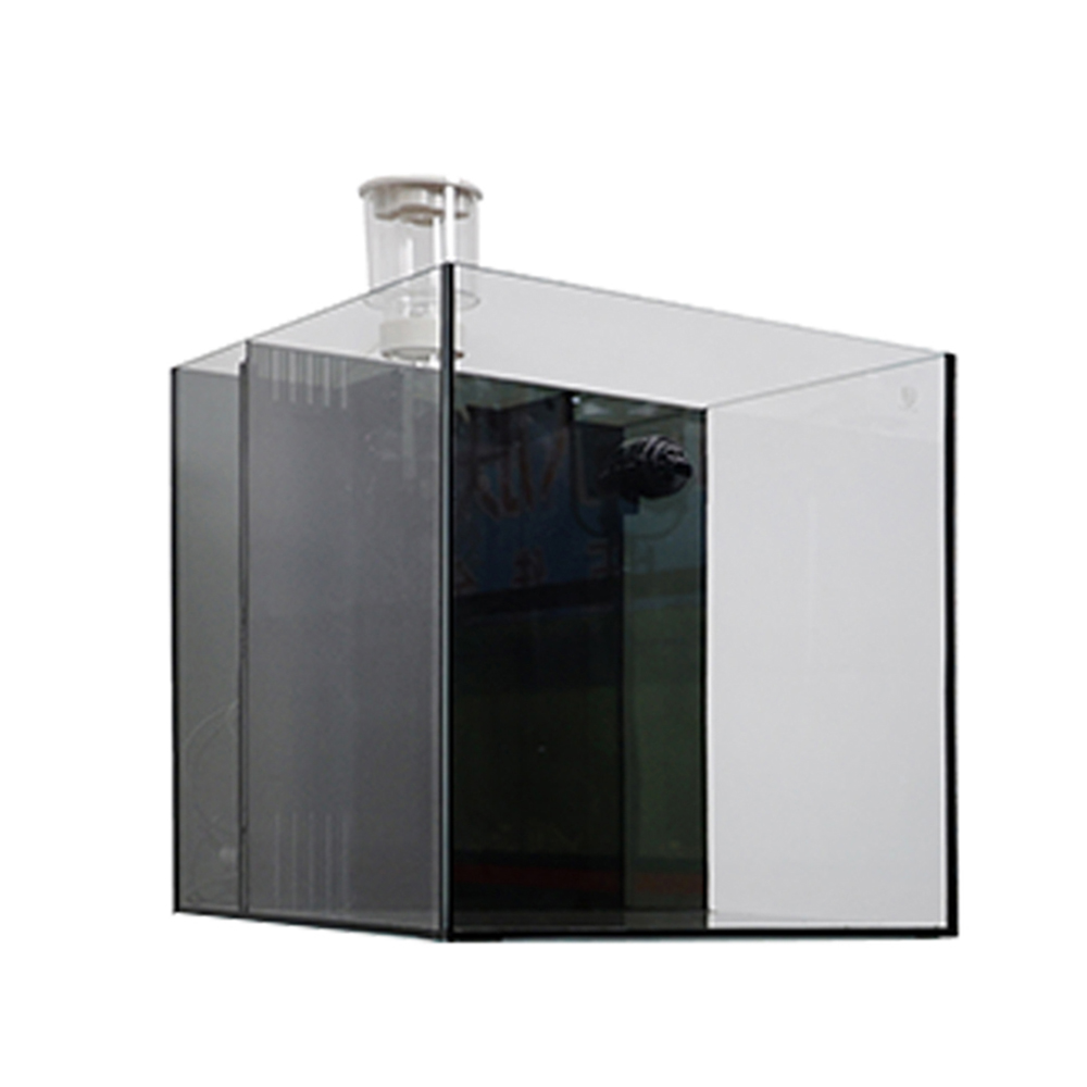 Indoor Glass Frameless Fish Aq - Aquarium Fish For Sale ulasan dan harga