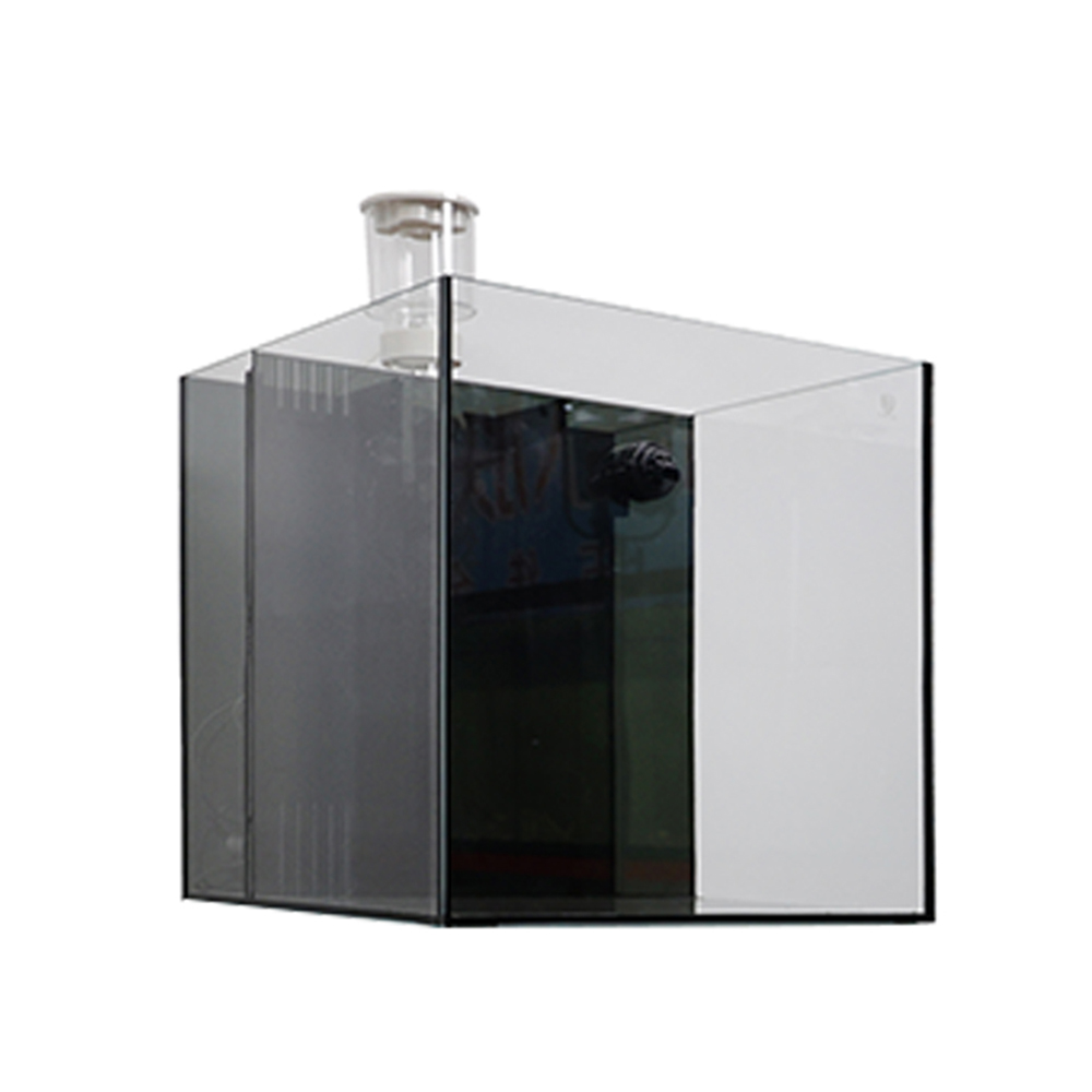 Indoor Glass Frameless Fish Aq - Aquarium Fish For Sale ulasan dan harga