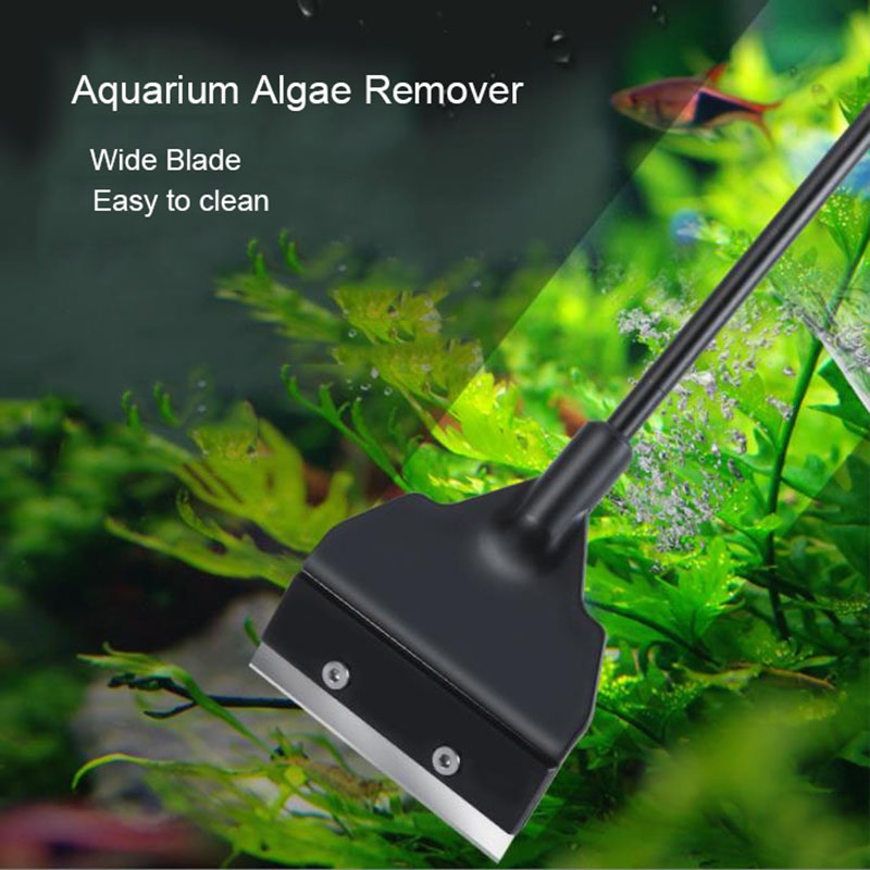 Wide Blade 6cm Light Weight Aq - Algae Scraper Blade ulasan dan harga