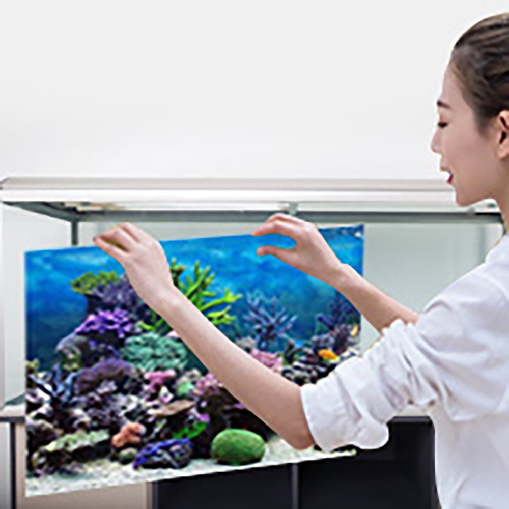 PVC Aquarium Background Poster - Aquarium Fish Poster ulasan dan harga