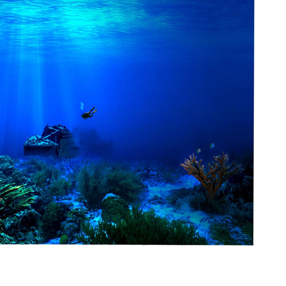 PVC Aquarium Background Poster - Aquarium Fish Poster ulasan dan harga