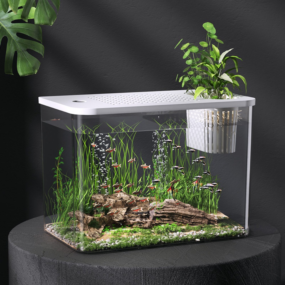 PET+ABS Fish Tank Transparent  - Aquarium Fish For Sale ulasan dan harga