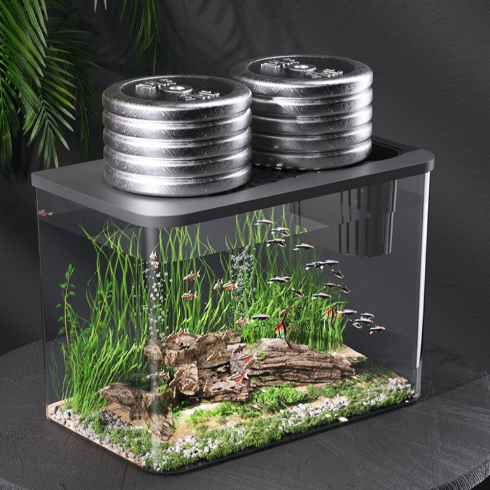 PET+ABS Fish Tank Transparent  - Aquarium Fish For Sale ulasan dan harga