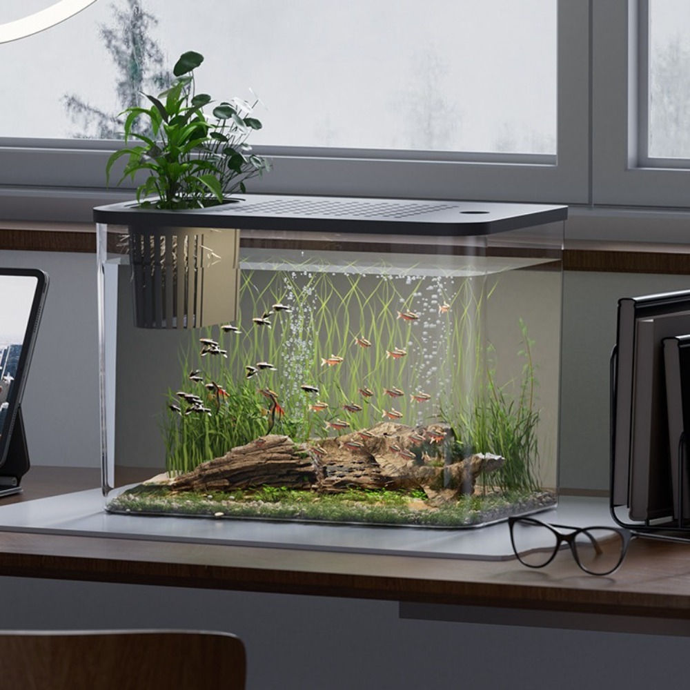 PET+ABS Fish Tank Transparent  - Aquarium Fish For Sale ulasan dan harga