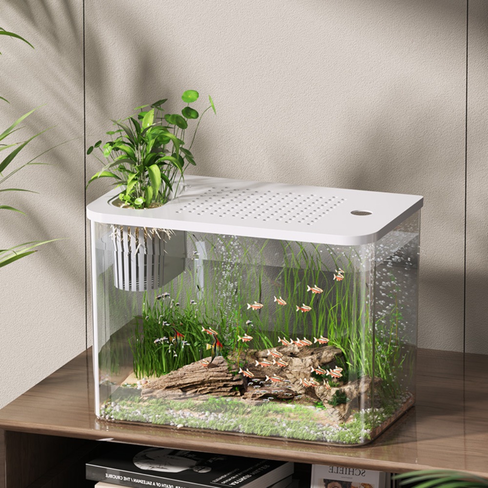 PET+ABS Fish Tank Transparent  - Aquarium Fish For Sale ulasan dan harga
