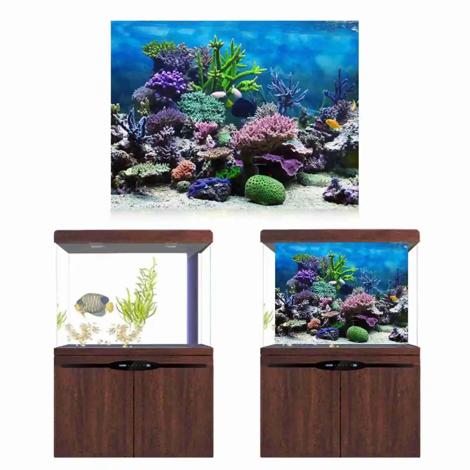 3D Aquarium Landscape Poster R - Aquarium Fish Poster ulasan dan harga