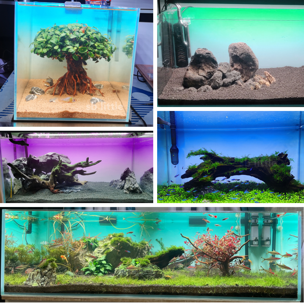 Fish Tank Background Sticker B - Aquarium Fish Poster ulasan dan harga