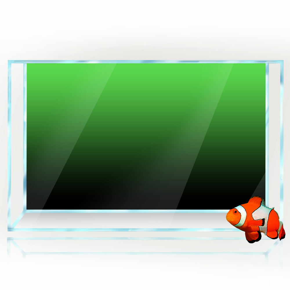 Fish Tank Background Sticker B - Aquarium Fish Poster ulasan dan harga
