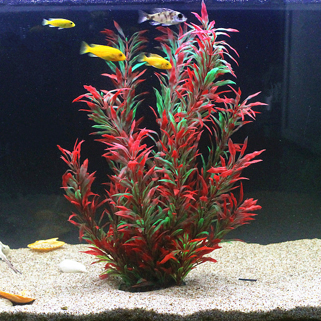 50CM Artificial Fish Tank Rare - Aquarium Fish Types ulasan dan harga