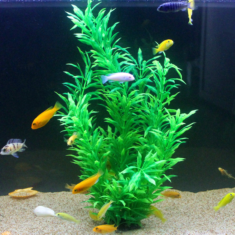 50CM Artificial Fish Tank Rare - Aquarium Fish Types ulasan dan harga