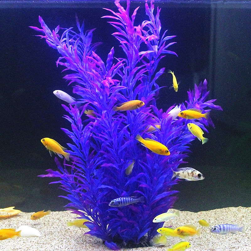50CM Artificial Fish Tank Rare - Aquarium Fish Types ulasan dan harga
