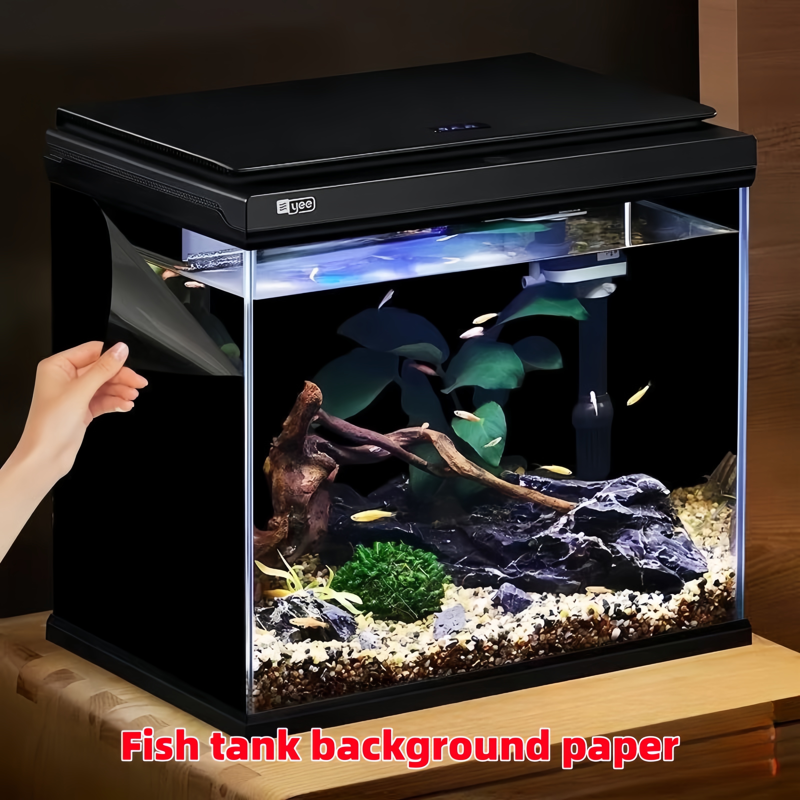 Black Aquarium Background Wall - Aquarium Fish Poster ulasan dan harga