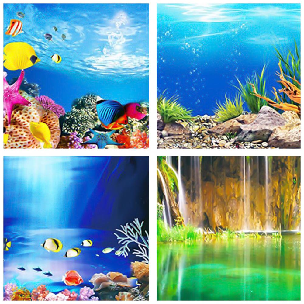 Aquarium Background Poster Oce - Aquarium Fish Poster ulasan dan harga