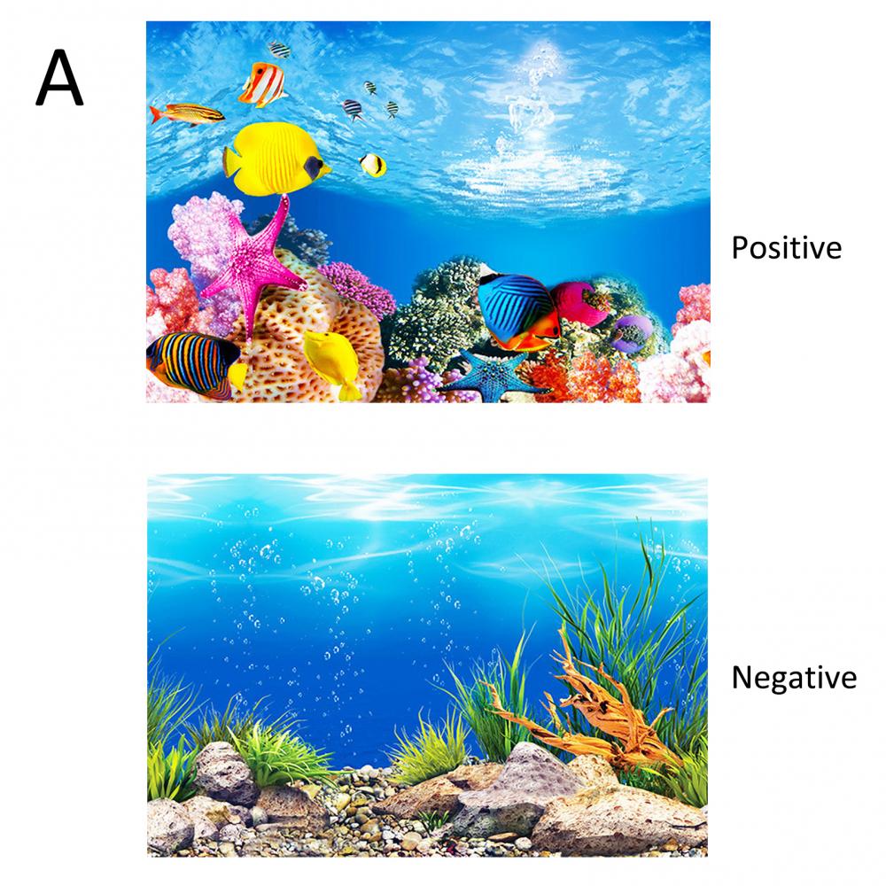 Aquarium Background Poster Oce - Aquarium Fish Poster ulasan dan harga