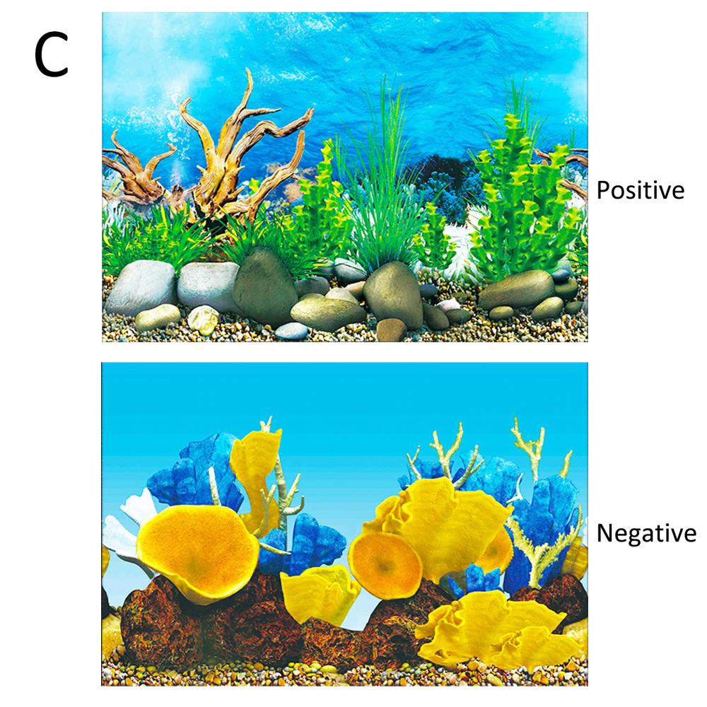 Aquarium Background Poster Oce - Aquarium Fish Poster ulasan dan harga