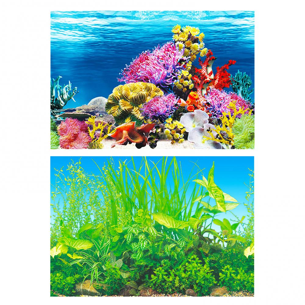 Aquarium Background Poster Oce - Aquarium Fish Poster ulasan dan harga
